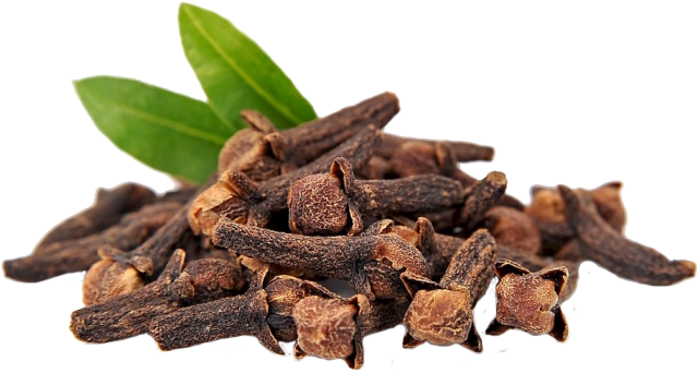 Periyar%20Spice%20and%20Ayurvedic%20Garden